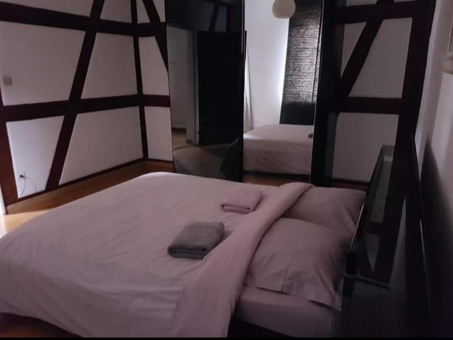 Spacious Appartement Colmar 2 Extérieur photo
